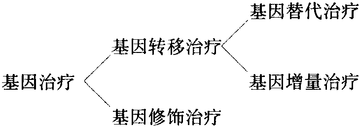 第三節(jié) 肺癌的生物免疫治療